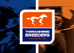 THOROUGHBRED BREEDERS VICTORIA (TBV) 