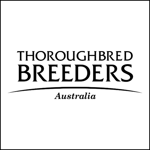 PODCAST - Episode 102: JobKeeper  COVID-19 + government stimulus + Australian breeding