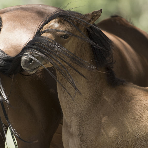 about_stable_financial